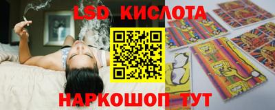 прущие грибы Белореченск