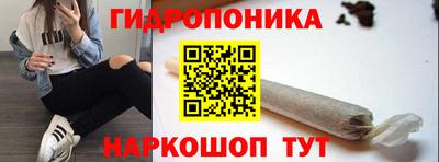 прущие грибы Белореченск