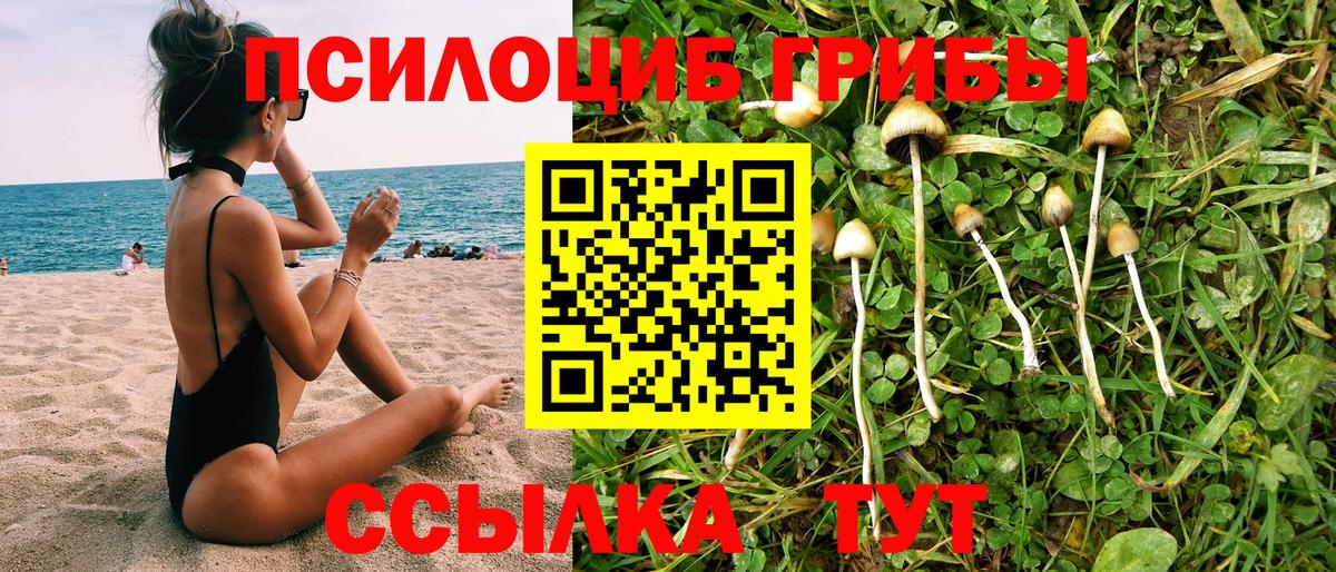 Псилоцибиновые грибы мицелий  Вход с VPN  купить наркоту  Псилоцибиновые грибы MAGIC MUSHROOMS  Воткинск 